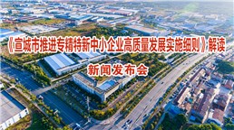 《宣城市推進專精特新中小企業高質量發展實施細則》解讀新聞發布會
